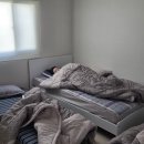 시안의원 | 월간 이단비 12월