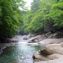 참사랑나눔동행 이미지