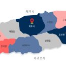 남성컷트(맨앤보이)