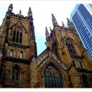 NSW-(시드니) 세인트 앤드류 성당 St. Andrew&#39;s Cathedral 이미지