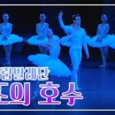 해설이 있는 발레 <백조의 호수> 이미지