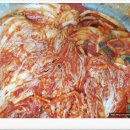 대복 주식회사 | 무르지 않고 아삭한 생김치 / 대복 김치 10kg / 내 돈 내산 / 장마철 준비