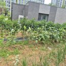 고덕하늘채경로당 이미지