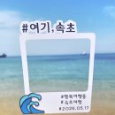 영금정 오션뷰 강원도 속초 대선횟집 내돈내산 후기