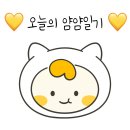 타토아의원 이미지