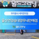 월드크리닝울산언양 - 울주군 서상평강변길 15 | 월드크리닝울산언양