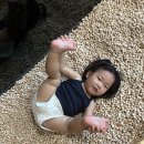 참누리반 로희의 슬기로운 방학생활입니다😀 이미지