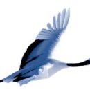 행정사 양승인 사무소 이미지