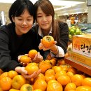 진영식품 - 화성시 | 진영식품