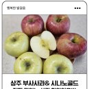 상주 | 상주 참손농원 부사사과&amp;시나노골드 진짜 맛있었던 상주 사과 후기