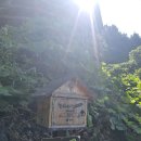 숲속나들이길 이미지