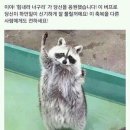 김케이타만 보세요 이미지