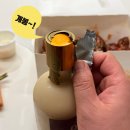 초향정 이미지