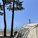 허가네 밥상 | #복슬캠핑일기 [몽산포오토캠핑장] 1탄! 몽산포캠핑장, 2구역, 뷰맛집, 사이트선택팁, 태안캠핑장...