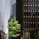 미학빌딩 앞 이미지