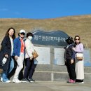 친절한송실장투어(힐링앤제주) | 제주가이드투어로 안전하고 편하게 제주도여행 다녀왔어요~