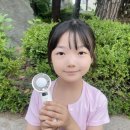 주식회사 허브보리 | 휴대용선풍기추천! 니보리 선풍기 냉각 기능에 반해버린 솔직후기