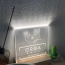 올가스킨 헤어