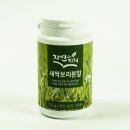 법인보리