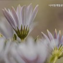 나이팅게일공동생활가정 이미지