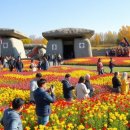 화순센터-비상2 이미지