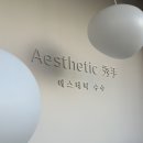 에스테틱 수수