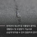 체리애견 이미지