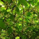 자향농장 이미지