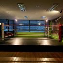 김지호 복싱 다이어트 이미지