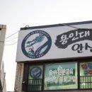 용인대 상록태권도 이미지