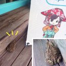 전주 두꺼비 이미지