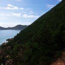 바다와숲 이미지