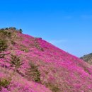 4월 추천 산행지~창원( 천주산 ) 이미지