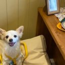 해피버트데이 이미지