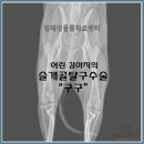 임재성동물의료센터 이미지