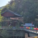 향기를새기는사람들 | 가볼만한곳 명소추천 오어사 사찰 둘레길 출렁다리 천년고찰의 아름다움을 느낄 수 있는 오어사 방문후기