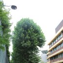 여의동로7길 이미지