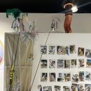 야옹아놀자(동성로점) 이미지