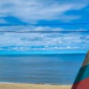 열무열차 이미지