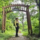 치악산둘레길 11코스 한가터길 | 2025.7.20 치악산둘레길11코스 한가터길
