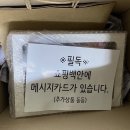 마즈영