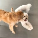 이씨네복덕방 이미지