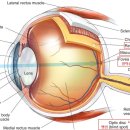 경한의원 이미지