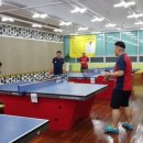 율하탁구교실 - 동구 율하동로10길 3-6 | 율하탁구교실