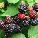 우리약업사 이미지