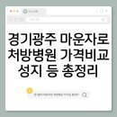 성지약국 | 경기광주 마운자로 처방병원·가격비교·성지최저가·약국후기