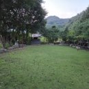 봄내식당 이미지