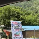 가평핀란드하우스 | [가평] 거림내캠핑하우스_운명같은 만남, 하루 올인 | 계곡+평상+바베큐