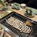 월야88장어 이미지