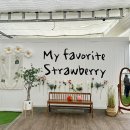 연곡농장 이미지